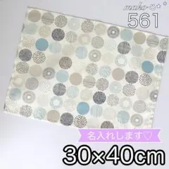 Item thumbnail for item 217b49b5-51dc-4cef-90a4-95b182c13758