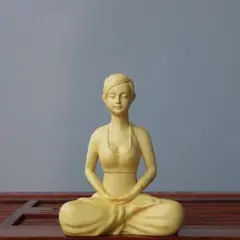 柘植 美人像 ヨガ美人1