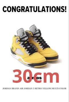 Air Jordan 5 Retro "Tokyo 23"30cm