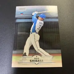 Item thumbnail for item e77c440a-7216-4dd8-828f-c5f890554f31