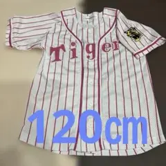 阪神タイガース　白ピンク　ユニフォーム　キッズ　120㎝