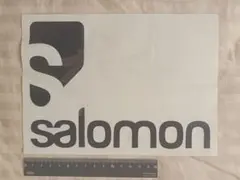 SALOMON サロモン カッティングステッカー 正規品