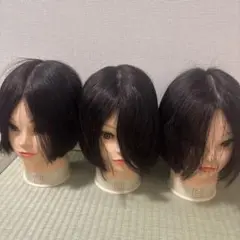 R-4 カットウィッグ
