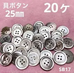 Item thumbnail for item 0774c9a8-76ec-4978-a518-b98f039688e7