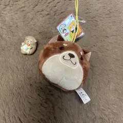 もちしば柴犬のぬいぐるみマスコットと置物