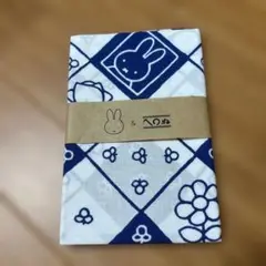 Item thumbnail for item c63549db-4e78-4471-ae2b-f9027c6cb246