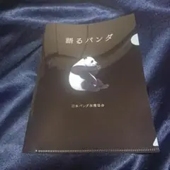 語るパンダ クリアファイル 日本パンダ保護協会