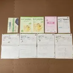 Z会エブリスタティ　2024年度1ヶ月分　未使用