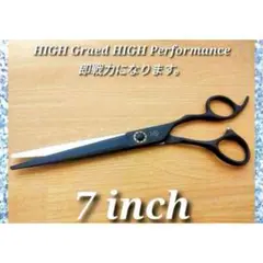 Item thumbnail for item b0e5a339-055f-4388-9ee5-881f08c0aa1c