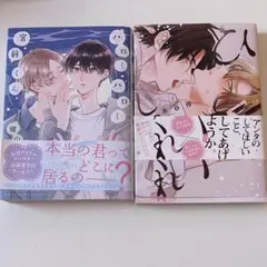 商業 bl 2冊 まとめ売り