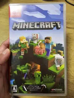 マインクラフト ソフト