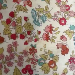 Spring Breezeさま専用