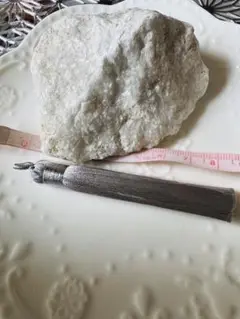 ※ 房 グレー※