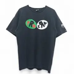 ヒップホップ PRO ERA ラップ Tシャツ アメリカ 875