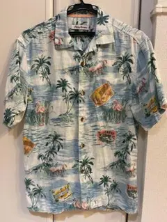 Item thumbnail for item 81ef5425-85d4-4dc9-aed1-697d0bc805db