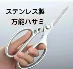 Item thumbnail for item c6967b9a-3df8-4221-bb83-0dcb31aed2f8