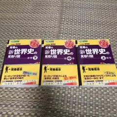 荒巻の(新)世界史の見取り図 : 大学受験世界史 3点セット