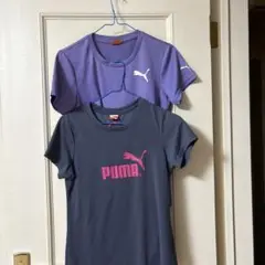 PUMA Tシャツセット 紫 ネイビー Mサイズ