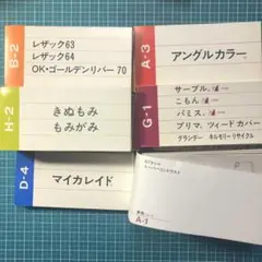 2025年最新】竹尾ミニサンプルの人気アイテム - メルカリ