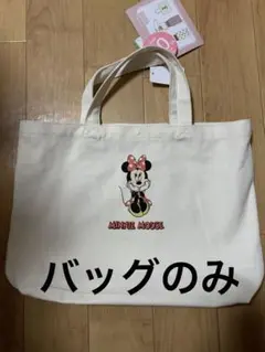 新品 ミニーバッグ バースデイ バッグのみ