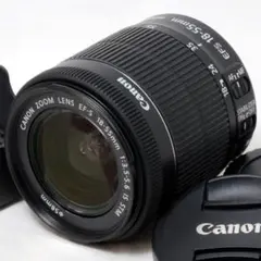 Item thumbnail for item b1aafff1-9f02-4a04-a44b-3ade1f19dab3