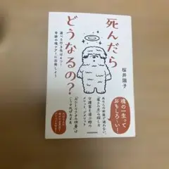 死んだらどうなるの? 選べる行き先は4つ!奇跡の魂ツアーに出発しよう