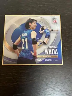 バレーボール女子代表 和田由紀子 色紙 ブレスセット