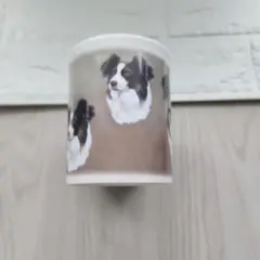 Item thumbnail for item eee75ed4-e47e-49f3-bd2f-656687c95db6