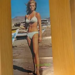 Raquel Welch ポスター 1972年9月号