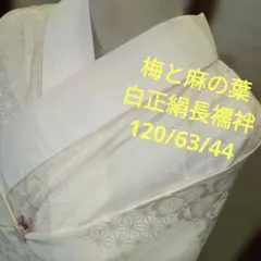 Item thumbnail for item af0febf9-c7ad-4155-8d2d-65d0894c289b