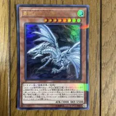 遊戯王　亜白龍　④