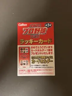 Calbee 2025 プロ野球チップス ラッキーカード