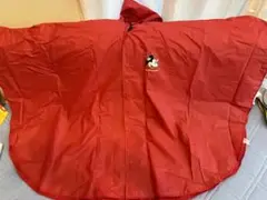 ディズニー　ポンチョ