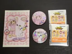 デジモンアドベンチャー 八神ヒカリ テイルモン 缶バッジ ポストカード セット
