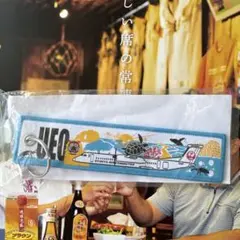 Item thumbnail for item ae782b7c-eb26-414d-ad31-440c5c766832