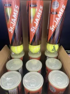 DUNLOP(ダンロップ) テニスボール St.JAMES(セント・ジェームス)