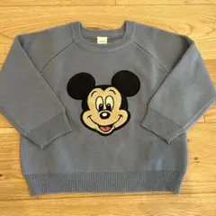 フタフタ　ミッキー　100