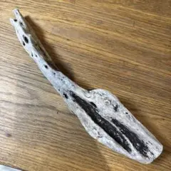 Item thumbnail for item aa86bd7a-7d8a-4a45-812f-b93470193b38