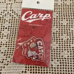Carp アクリルマグネット キャッチ!!