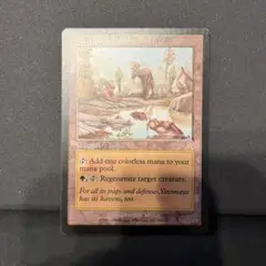 [値下げ]ヤヴィマヤのうろ穴 foil マジック：ザ・ギャザリング 激安価格の 買取)(FOIL)ヤヴィマヤのうろ穴/Yavimaya Hollow(UDS