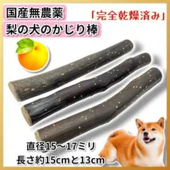 Item thumbnail for item c73c7327-b19e-4260-bd0d-55dff0649e26