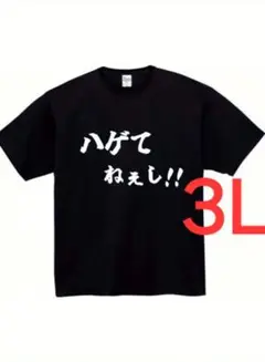 am-244　新品　3L　半袖Tシャツ　おもしろTシャツ　面白い　ギャグ　ネタ