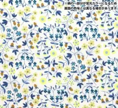 リバティ ネオンカラー リトルミラベル タナローン生地 1m