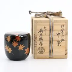 Item thumbnail for item a27b0290-ffe2-4748-92ff-cd38c5818e34