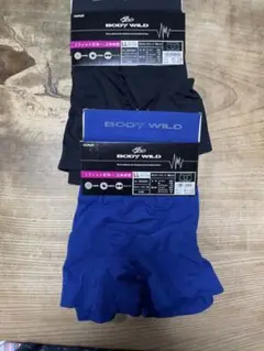 Body Wild GUNZE のボクサーパンツ　LLサイズ
