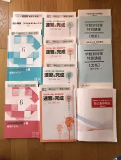 2024市進学院　公立中高一貫校受験　小学6年生　季節講習テキスト、問題集セット 2025年最新】市進学院 テキスト 小6の人気アイテム - メルカリ