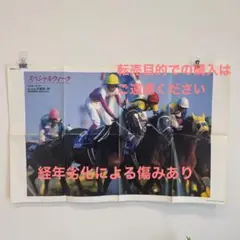 スペシャルウィーク　特大ポスター【当時品】競馬　サラブレ79cm×50cm
