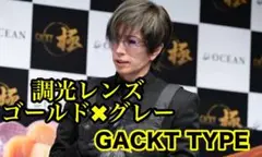 GACKT RAYBANサングラス　レイバンサングラス　風　調光レンズ　調光