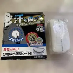 Item thumbnail for item 198596ef-71e3-436c-8269-d9b7731534ba