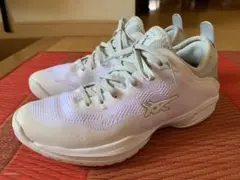 ASICS　バスケットシューズ　 GLIDE NOVA FF 3 　25cm